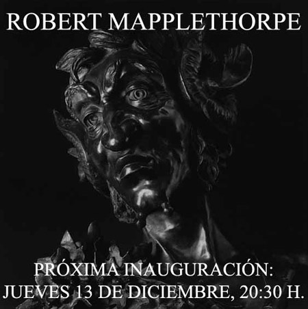 ROBERT MAPPLETHORPE. Vanitas