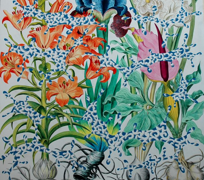 Patricio Cabrera. Acrílico sobre tela, 200 x 200 cm. Serie: Dicen Las Plantas
